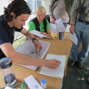 Pellet Analysis