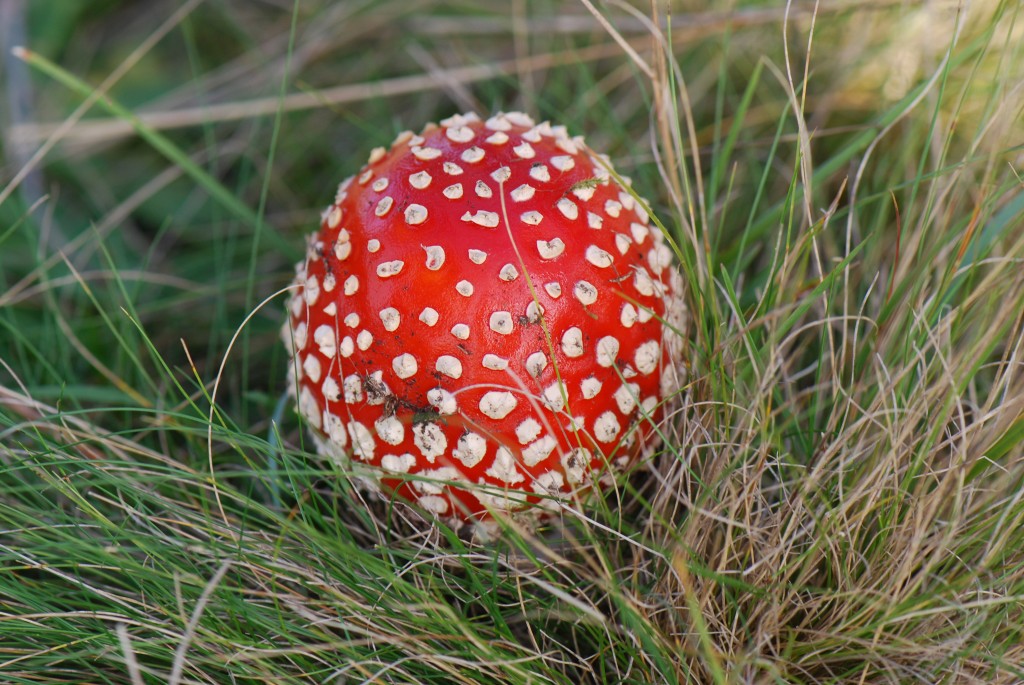 095